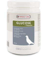 Glucose + Vitamins Powder 400 grams